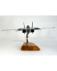 Maquette avion Grumman F-14 Tomcat Black Bunny en bois